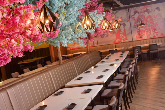 Blue Sakura Elegant Atmosphere